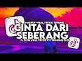 Lagu DJ CINTA DARI SEBERANG SLOW VIRAL TIKTOK FULL SONG MAMAN FVNDY 2025