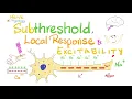 Subthreshold Stimulus Local Response Catelectrotonus Anelectrotonus Nerve Physiology