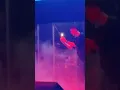 #1 ДЕТИ RAVE г.Уфа 09.05.2022