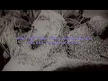 $UICIDEBOY$ - CHÂTEAU GRIS (Lyric Video)