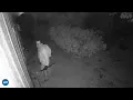 Surveillance released of suspect in Mohave County double murder