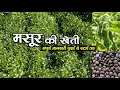 Lentil farming | Masoor ki kheti | Lentil farming in India | How to do lentil farming | AtoZ Jankari
