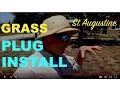 How To Install St Augustine Grass Plugs