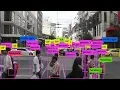 YOLOv3 - Object Detection