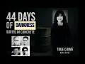 Buried in Concrete 44 Days of Darkness in Japan s Most Shocking Schoolgirl Case