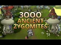 Loot From 3 000 Ancient Zygomites