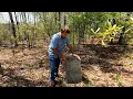 WHITEHEAD PLANTATION SLAVE CEMETERY VISITING SAMANTHA STREET WHITEHEAD SPARKS CEMETERY