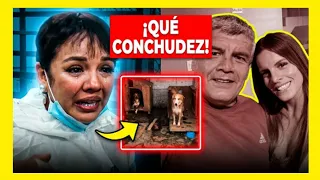 ¡INDIGNACIÓN TOTAL! Magaly expone la crueldad y la soberbia del Alcalde de Chiclayo con los animales