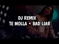 Download Lagu DJ REMIX TE MOLLA | BAD LIAR SLOW TERBARU FULL BASS