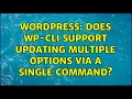 Wordpress Does WP-CLI support updating multiple options via a single command
