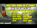 TEMBAKAN BURUNG MURAI BATU BONGKAR MATERI KOMPLIT INI COCOK BUAT MASTERAN MURAI ANDA