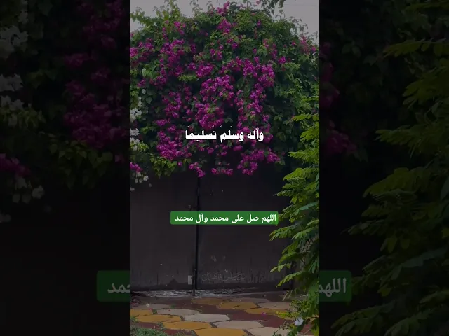 ⁣اللهم عجل لوليك الفرج