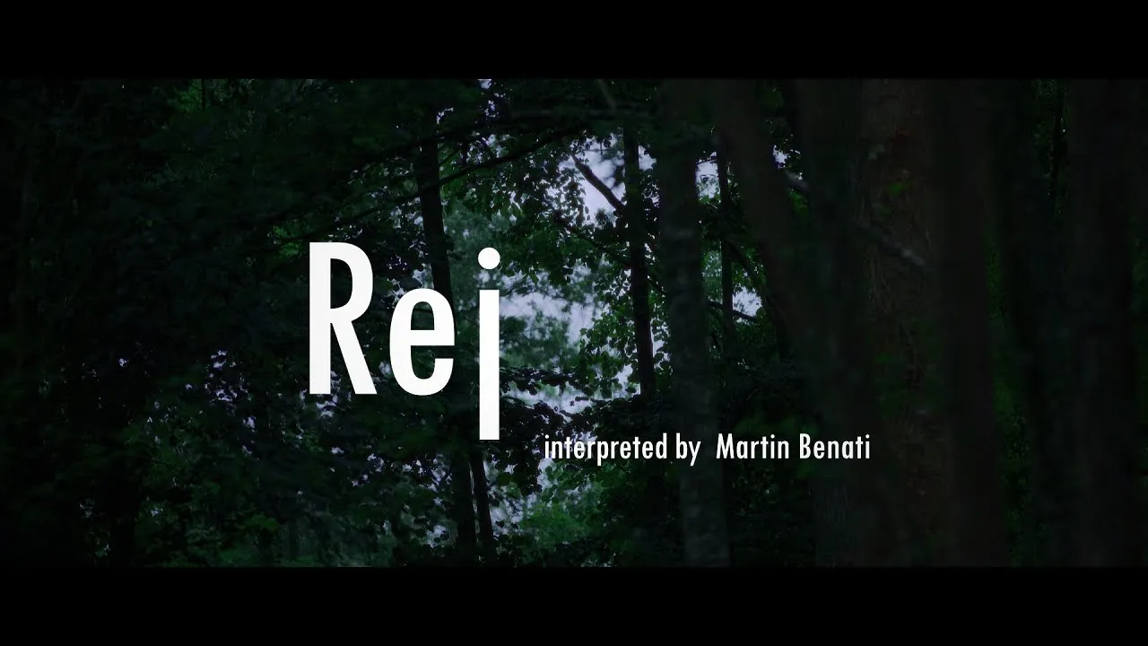 Rej (Cover), Inspired by MEUTE