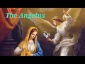 Download Lagu THE ANGELUS - 6 O'clock Catholic Prayer🙏 ✝️ 📿(Set your alarm ⏰)
