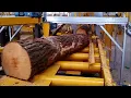 Incredible Wood processing machine - Faster Sawmills and modern technologies