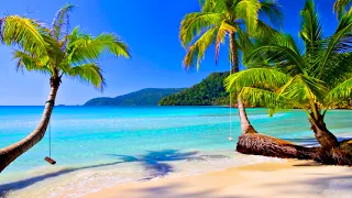 4k U Tropical Beach Palm Trees on a Island Ocean Sounds Ocean Waves White Noise for Sleeping