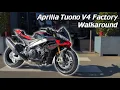 Download Lagu Aprilia Tuono V4 Factory | Walkaround