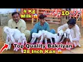 Challenge ❌Top Quality🚨Karachi Ka Ghar Me Gulabi Bacho Wali Bakriyan Ka Nasli Shoq 😍 | Goat Farming 