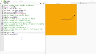 Basics of Python Turtle Graphics - Screen setup and turtle movements