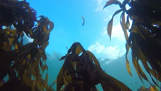 Relax underwater in Donegal with spiritual music. 3hrs stereo no ads for sleep, meditation, yoga.