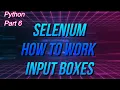 Python How To Work With Selenium Input Boxes
