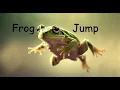 Frog Jump - LeetCode 403