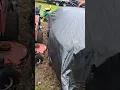 Harbor Freight Extreme Tarp