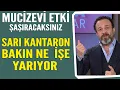 Şaşırtan mucizevi etki! Sarı Kantaron otu bakın ne işe yarıyor?