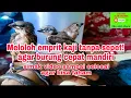 Download Lagu Cara meloloh tanpa sepet agar cepat mandiri#meloloh anakan emprit kaji#