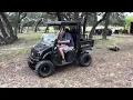 2014 Bulldog UTV 4x4 gasoline Mod 4WD-650-700