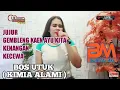 Download Lagu TEMBANG CIREBONAN PERMINTAAN BOS UTUK (KIMIA ALAMI ) SING KALI WEDI || YANI RIDHO