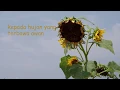 Download Lagu Olski - Rindu (Unofficial Lyric Video)
