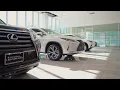 Ray Catena Lexus - Take Your Drive To The Next Level
