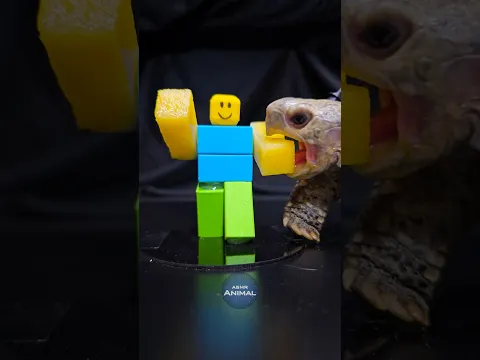 Roblox ASMR Mukbang Eating NOOB ⭐