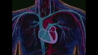 muad heartbeat vocals only slowed and reverb 