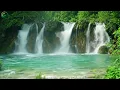 Let the sounds of streams and birds heal you 🕊️ Instant relaxation