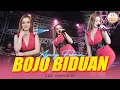 Download Lagu Bojo Biduan - Ajeng Febria (Abote wong lanang yen nduwe bojo biduan kudu biso sabar ora cemburuan)