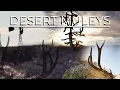 Desert Muleys - New Mexico Mule Deer