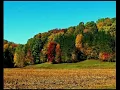 Download Lagu QURAN SURAH AT-Tin (chapter 95) by sheikh abdurahaman sudais