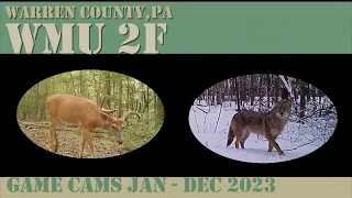PA Game Cam WMU 2F - 2023