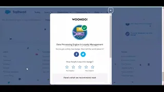 Data Processing Engine in Loyalty Management Salesforce