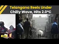 Lagu Telangana Cold Wave: Lowest Temperature Of  2.0°C Recorded In A Decade; IMD Issues Winter Alert