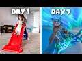 Letting my cats try things they were never meant to