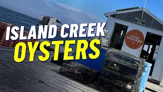 Island Creek Oysters in Duxbury Massachusetts Where s Hannah The Hub Today