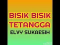 Download Lagu Bisik Bisik Tetangga - ELVY SUKAESIH ( lagu dangdut jadul )