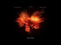 ILLENIUM, David Guetta & Dustin Lynch – Die Living