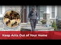 Looking for an Ant Exterminator