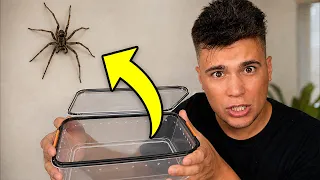 UCIEKŁ MI PAJĄK... 🕷️