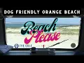 Bring Fido to the BEACH Dog Friendly Restaurant Gulf Coast Alabama