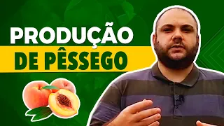 Segredos na produção de pêssego - com Gener Penso